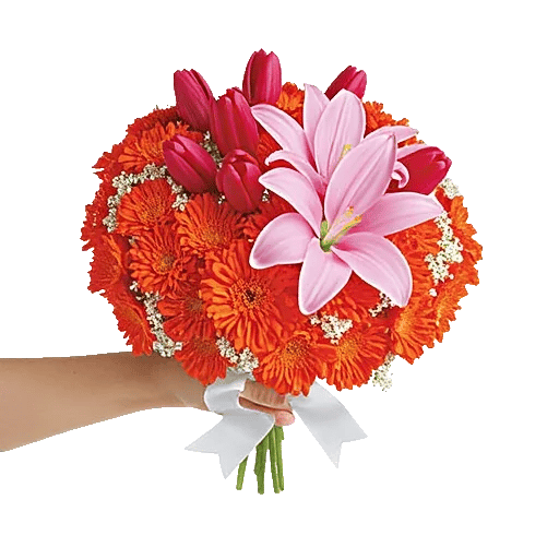 Petal Harmony Bliss