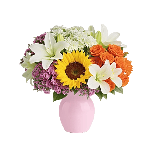 Blossom Radiant Whisper