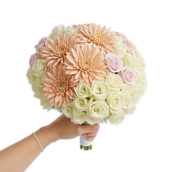 Blushing Rose Symphony