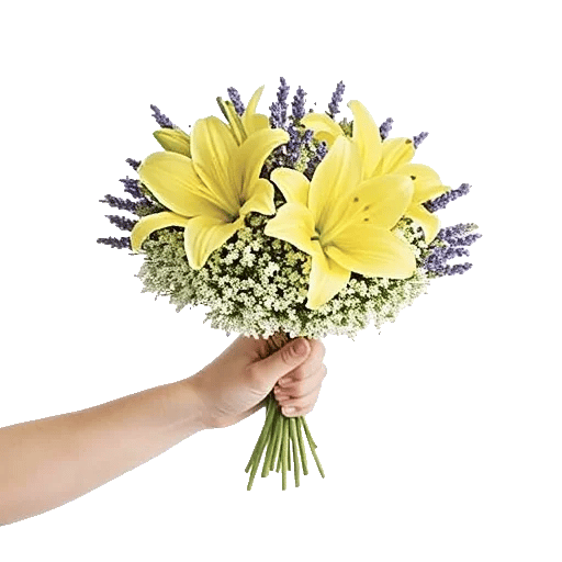 Blossom Harmony Display