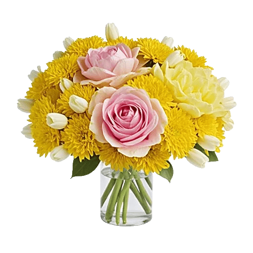 Petal Radiance Bliss