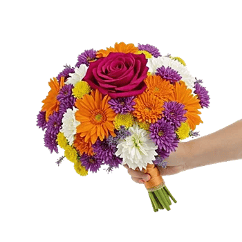 Blushing Rose Symphony