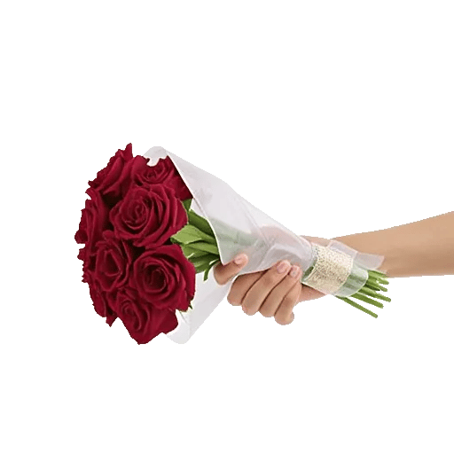 Crimson Rose Elegance