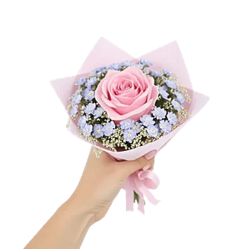 Blossom Radiant Whisper