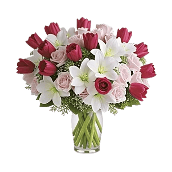 Petal Radiance Bliss