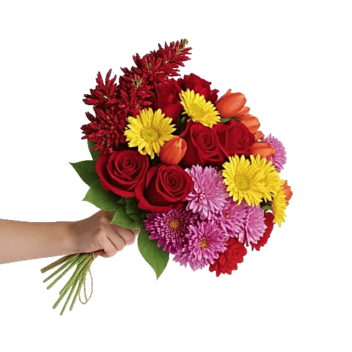 Crimson Blossom Harmony