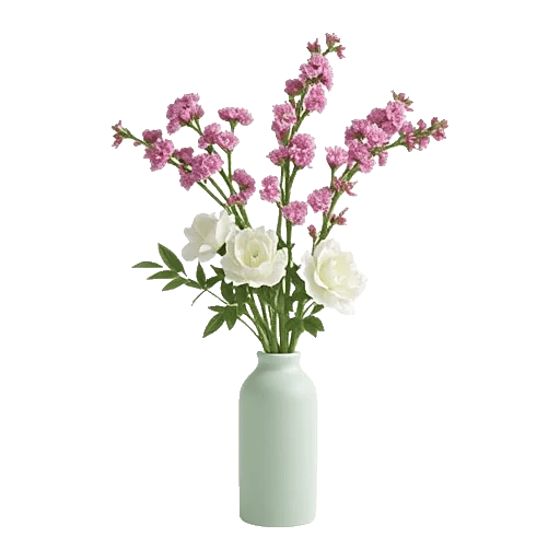 Plum Blossom Radiance