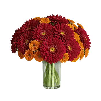 Crimson Blossom Harmony