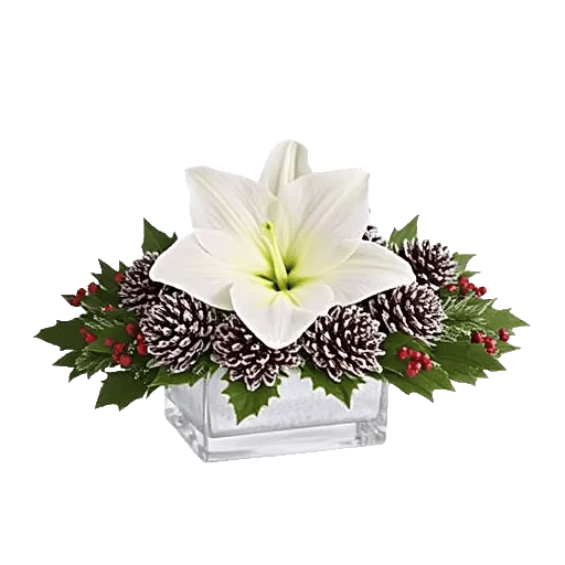 Frosted Lily Spread