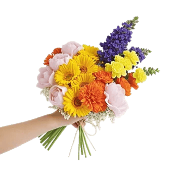 Petal Radiance Bliss