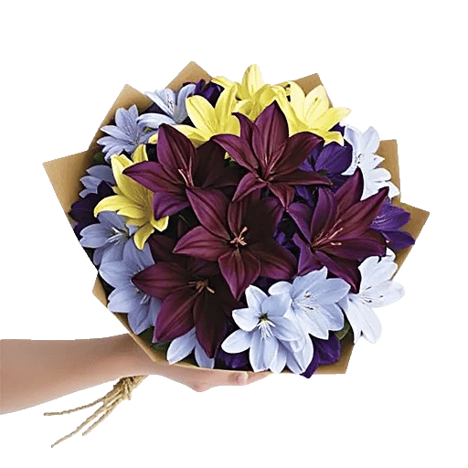 Blossom Harmony Display