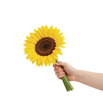 Golden Sunflower Bouquet