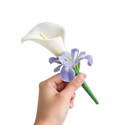 Elegant Calla Lilies
