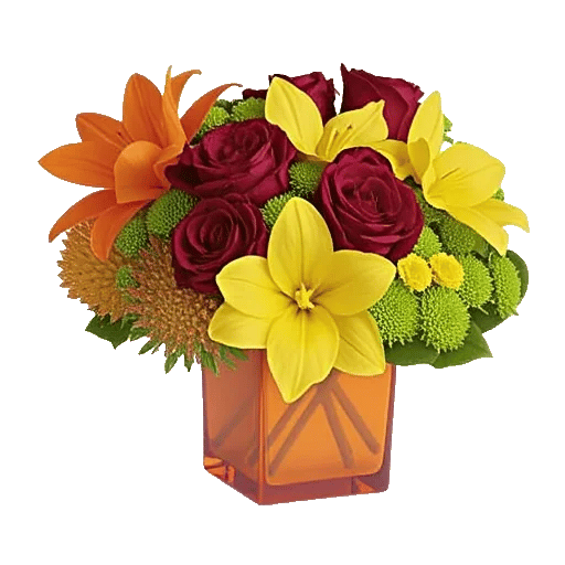 Elegant Calla Lilies