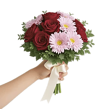 Crimson Rose Elegance