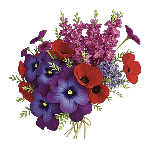 Fresh Meadow Blooms