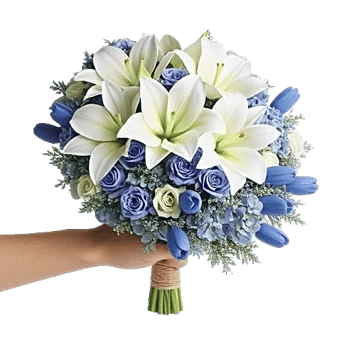 Serene Petal Harmony