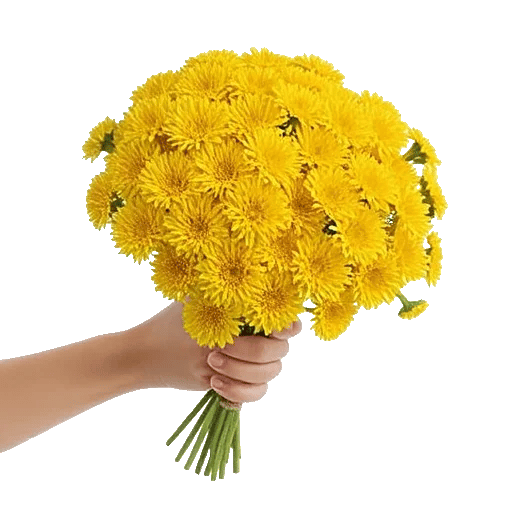 Daisy Meadow Spread