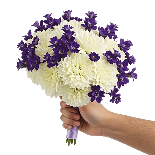 Delicate Petal Cascade
