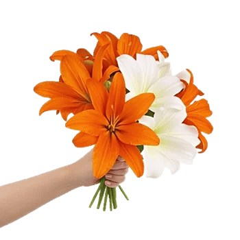 Blossom Glow Symphony