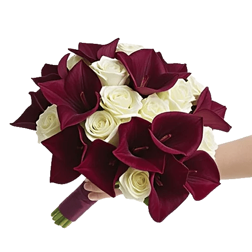 Elegant Calla Lilies