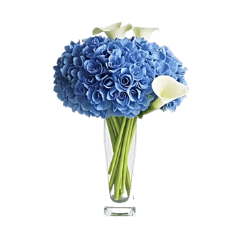 Azure Sky Blooms