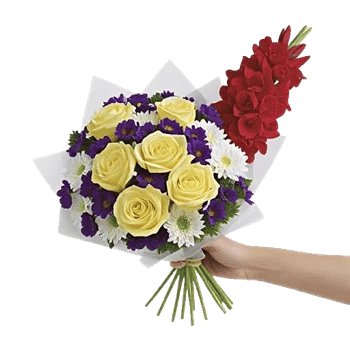 Blossom Harmony Display