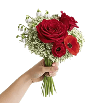 Blossom Harmony Display