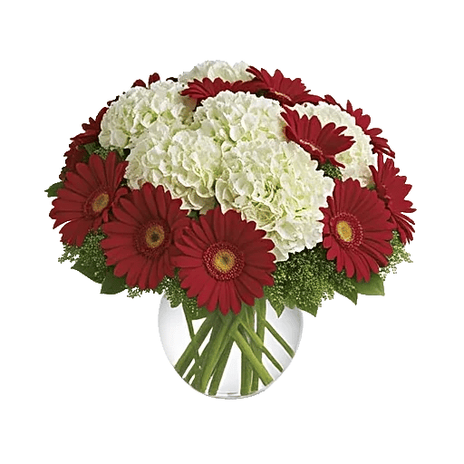 Petal Radiance Bliss