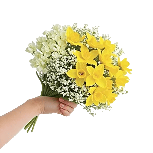 Blossom Harmony Display