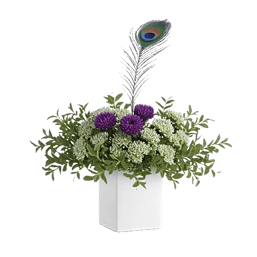 Minimalist White Orchids