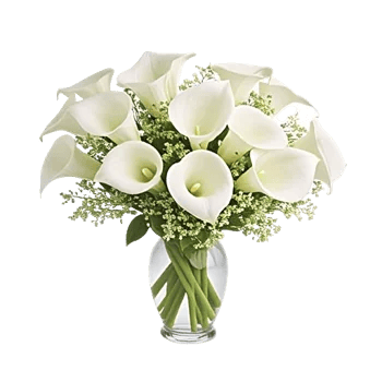 Elegant Calla Lilies