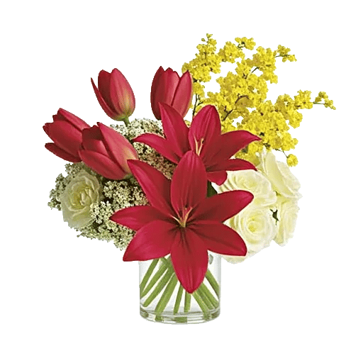 Scarlet Tulip Splendor