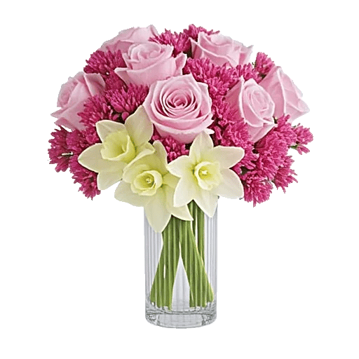 Radiant Rose Symphony