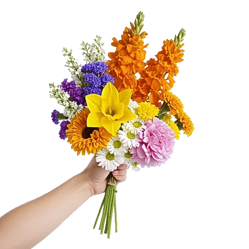 Blossom Harmony Display