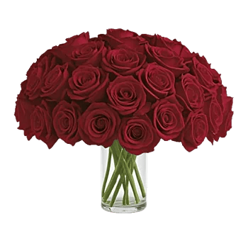 Crimson Rose Elegance