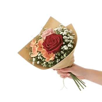 Crimson Rose Elegance