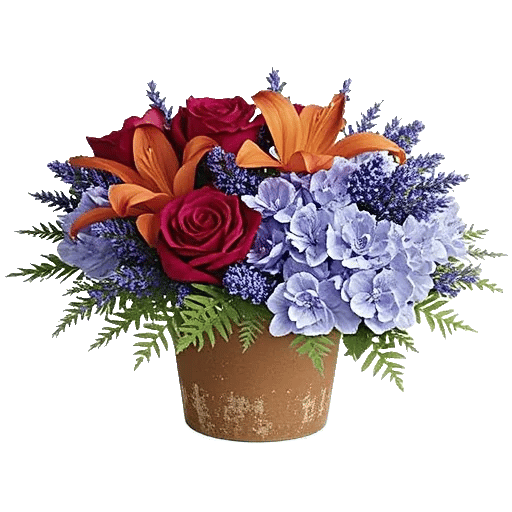 Petal Radiance Bliss