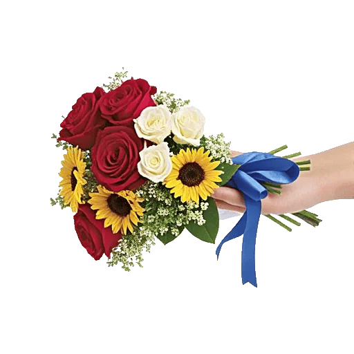 Blushing Rose Symphony