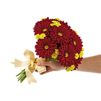Crimson Blossom Harmony