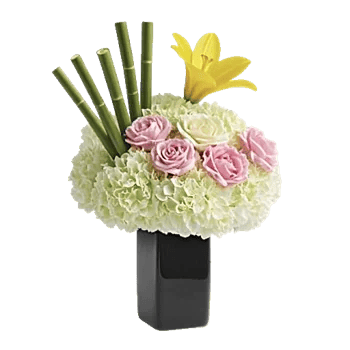 Ivory Blossom Radiance