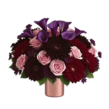 Elegant Calla Lilies