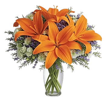 Blossom Glow Symphony