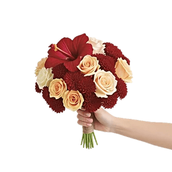 Crimson Rose Elegance