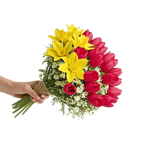 Blossom Harmony Display