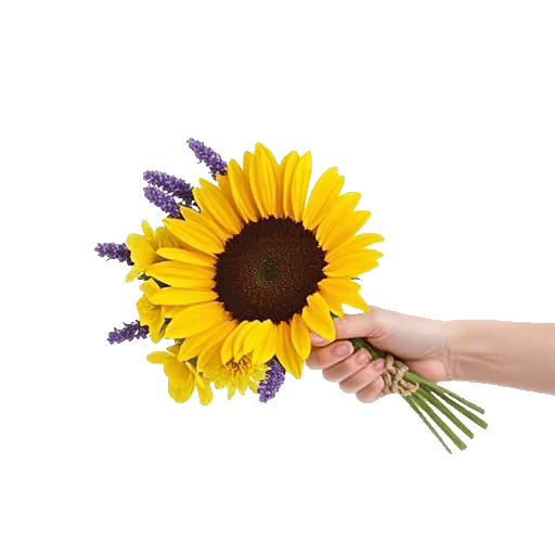 Amber Sunflower Glow