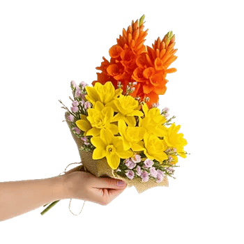 Blossom Glow Symphony