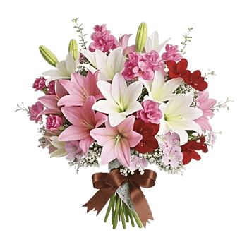 Graceful Lily Display