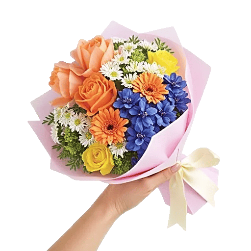 Petal Softness Display