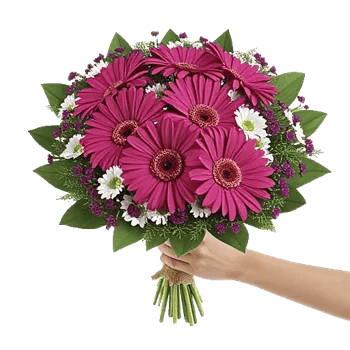 Petal Harmony Bliss
